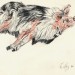 Les fusins, crayons, sanguines